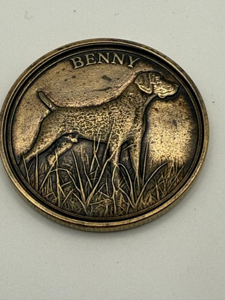 Close-up of Benny dog coin with grass detail